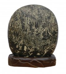 邀赏洛阳奇石馆 共品石韵军魂