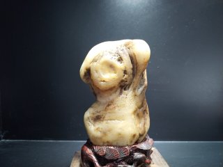 淮南市观赏石协会举办2026年迎春茶话会