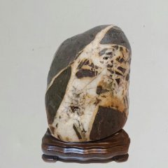 醉石翁新春赏石