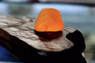 自从玩了金丝玉 视金丝玉为最爱了 