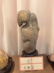 第十届中国淮南观赏石博览会暨凤台文化交流展销会