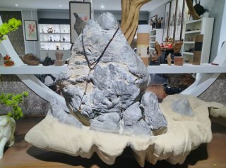 参加淮南石博会顺访王吉清石馆