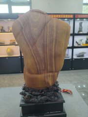 第十届中国淮南观赏石博览会在凤台县人才公园广场盛大开幕