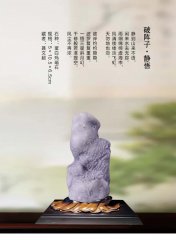 《于公赏石》喊你游阿拉善逛黄山去