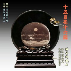 洛阳黄河奇石协会理事会暨2026年工作会议召开