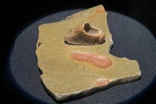 2026春季阿拉善玉·观赏石文化旅游活动即将启幕！