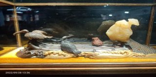 【重磅招商】2026中国（太原）第五届小井峪杯奇石钱币古玩非遗博览交易会，展位火热预定中！