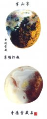 难忘的端午石展——记三十年前金鹰国际商厦石展