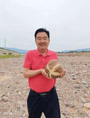 以石会友传佳话 陕甘同心结石缘——渭南天水石友甘谷深度交流活动圆满举行