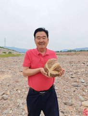 以石会友传佳话 陕甘同心结石缘——渭南天水石友甘谷深度交流活动圆满举行