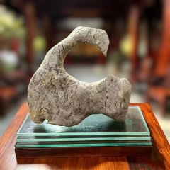 《汉中龙骨石》编撰工作正式启动