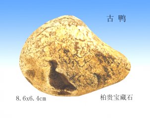 一枚古鸭石·千载洪武香