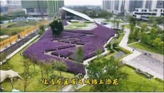 2026金秋石展哪里去:成都天府花城!
