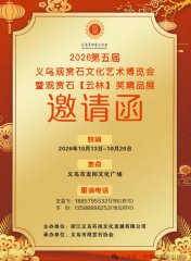 看《于公赏石》精选金秋各地石展