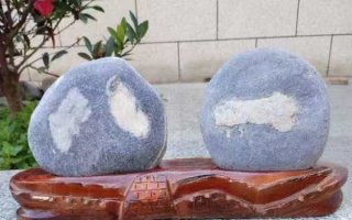 洛阳市赏石协会开展庆八一赏美石活动