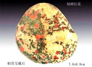 美石尽显一幅天然春日花鸟画卷