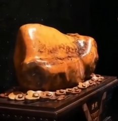 奇石《佛脚》赏析 图