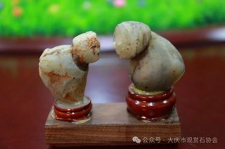 大庆市观赏石协会夏日活动丰富多彩