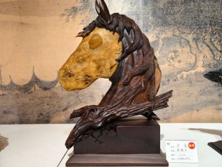 第26屆中國成都國際賞石文化博覽交易展啟幕
