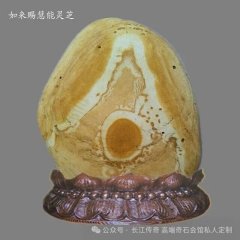 赏石如何申报“非物质文化遗产”保护