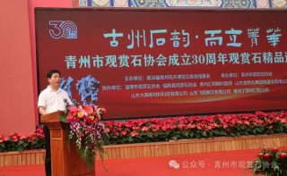 “古州石韵 · 而立菁华”——青州市观赏石协会成立三十周年观赏石精品邀请展开幕