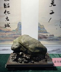 欣赏广元昭化首届奇石文化展获奖作品