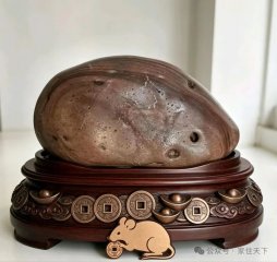 黄河冲出一只天然奇石“招财鼠”!