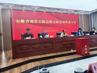 安徽省观赏石协会第五届会员代表大会胜利召开