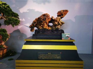 到陈村看那“山川淬炼亿万年风雨雕琢千万遍”的奇石