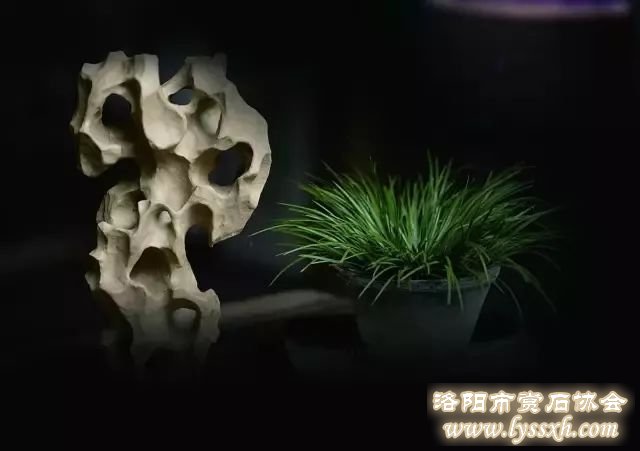 奇石，为什么会成为每一个年代的奢侈品?