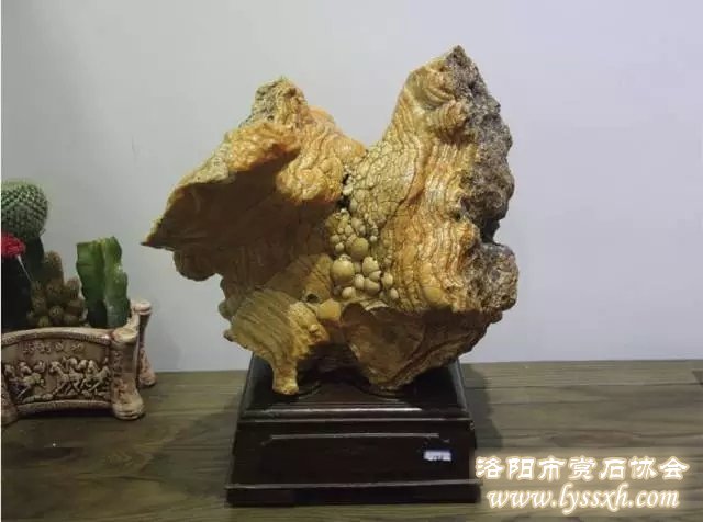 奇石，为什么会成为每一个年代的奢侈品?