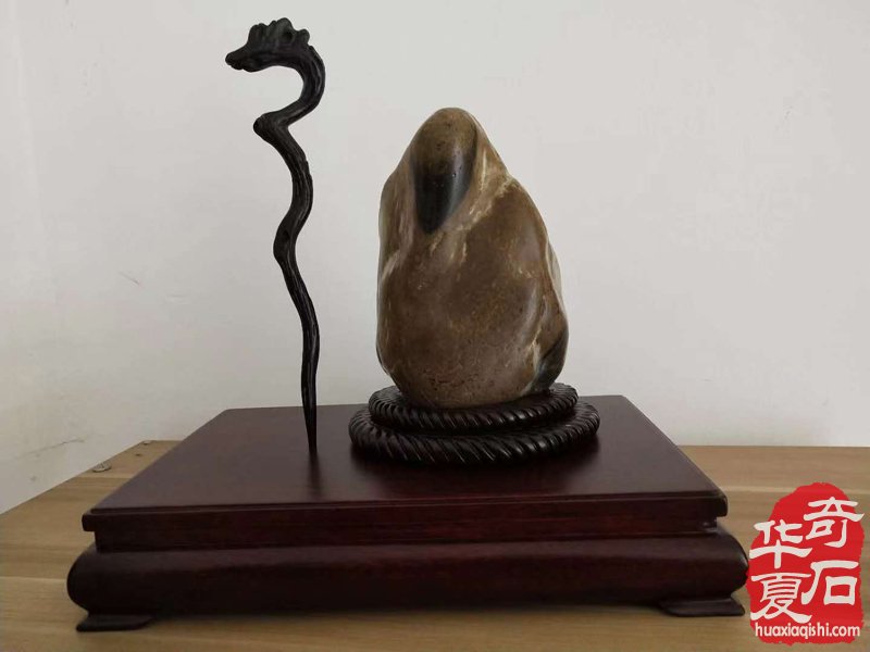 2019金猪贺新春雨花水石供石大联展拉开帷幕