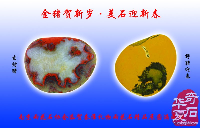 2019金猪贺新春雨花水石供石大联展拉开帷幕