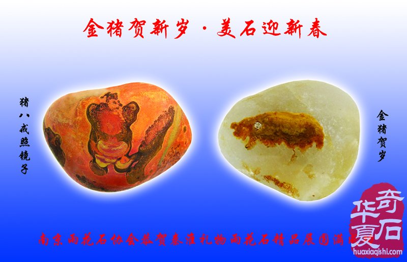 2019金猪贺新春雨花水石供石大联展拉开帷幕