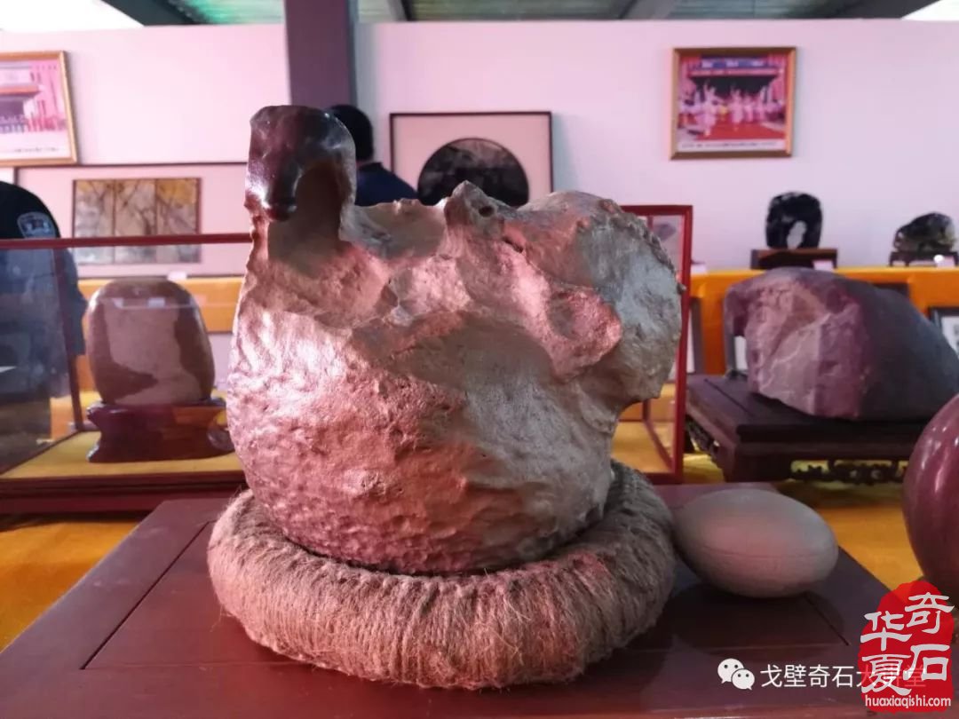 洛阳石展画面石领跑精品厅 宽甸玉树石异军突起