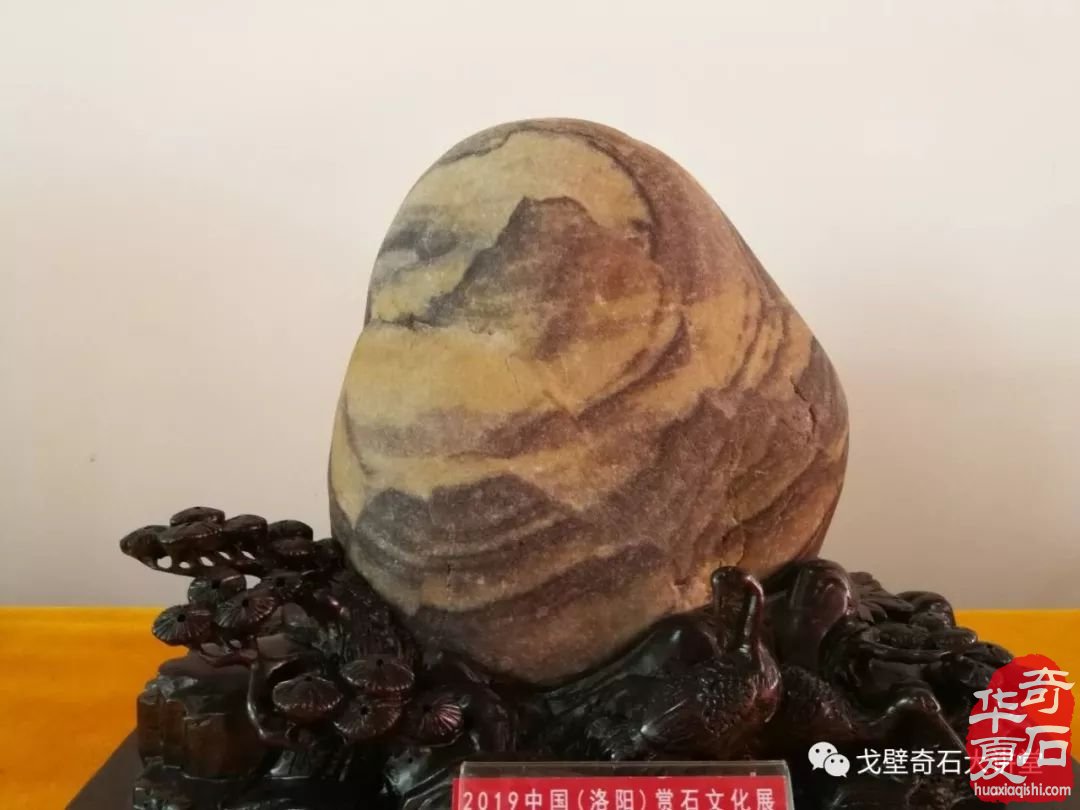 洛阳石展画面石领跑精品厅 宽甸玉树石异军突起