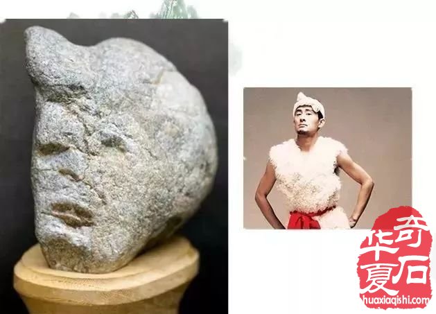 欣赏奇石界的明星人物领略大自然的博大神奇