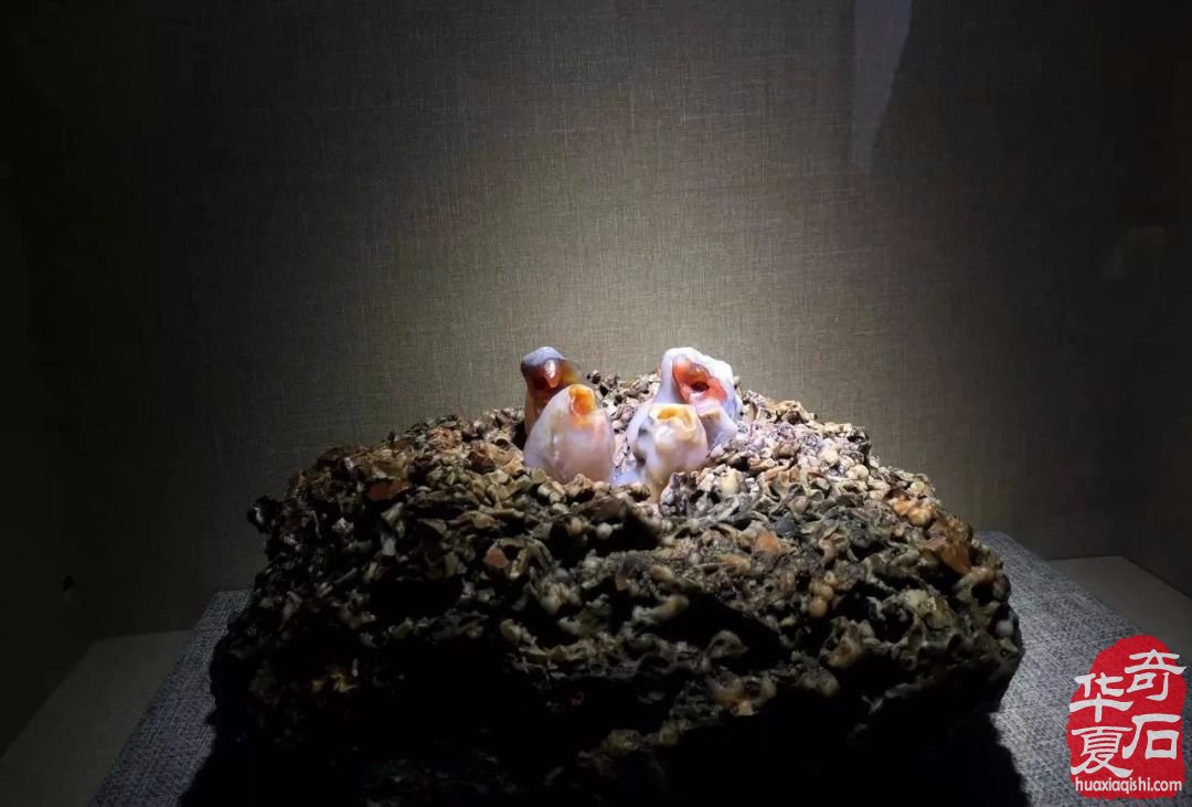 奇石行业没有淡季和旺季，只有精品和普品