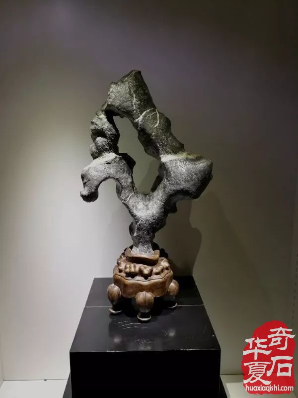 赏石界的高水平代表! 中国名家赏石邀请展藏石欣赏!