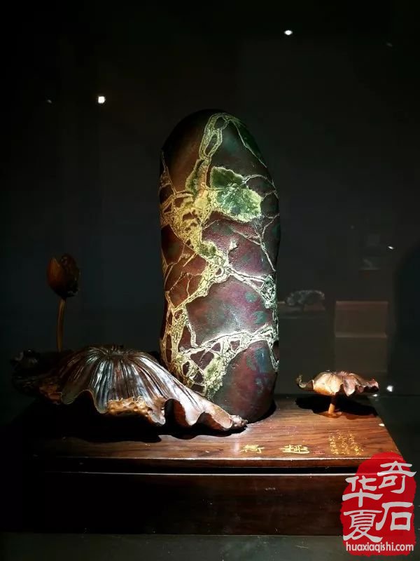 赏石界的高水平代表! 中国名家赏石邀请展藏石欣赏!