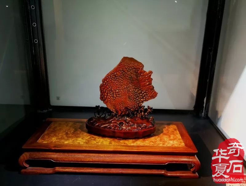 赏石界的高水平代表! 中国名家赏石邀请展藏石欣赏!