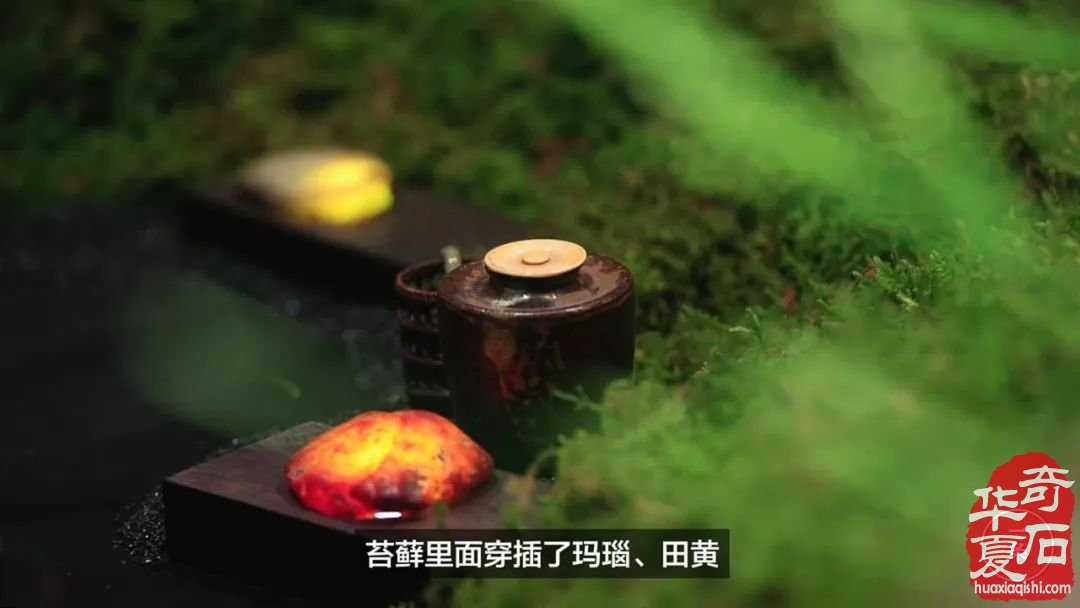 中国首富们都在赏玩奇石!