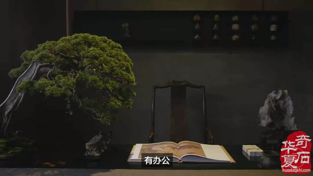 中国首富们都在赏玩奇石!