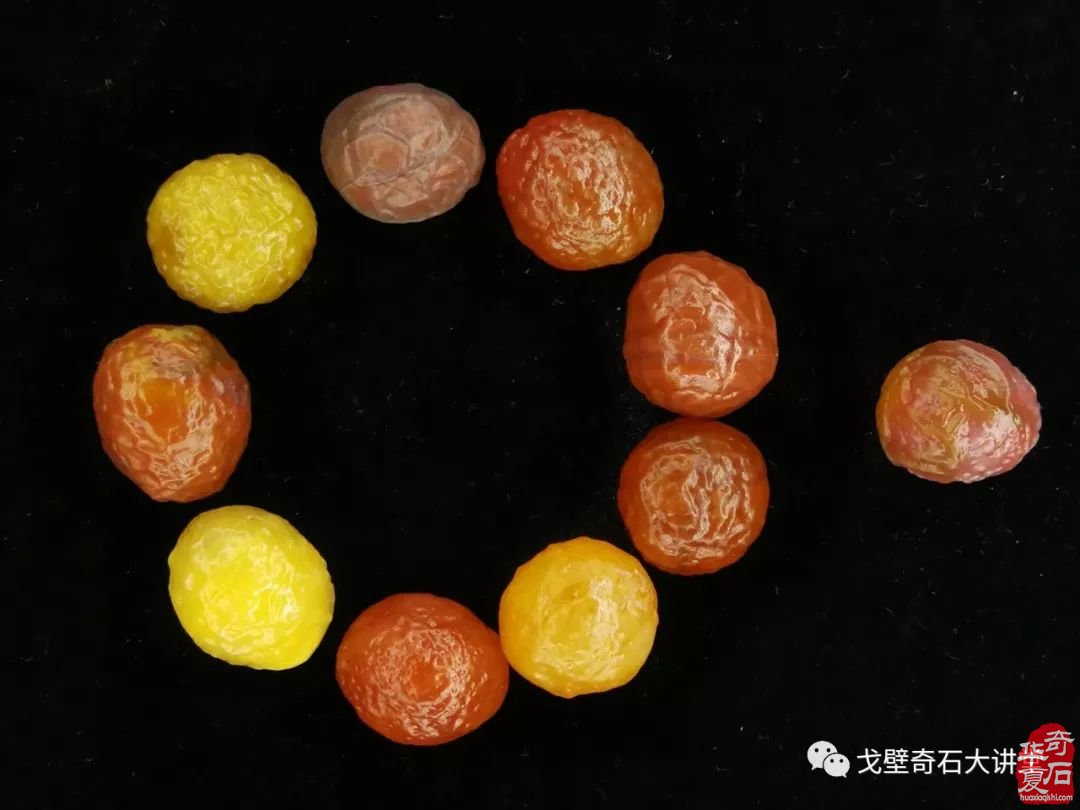 戈壁石走进齐齐哈尔 大讲堂现金补贴路费！
