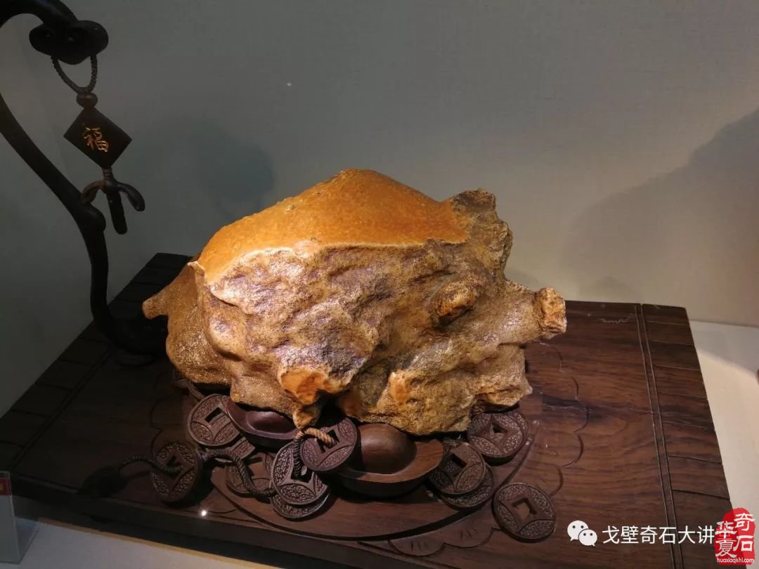 戈壁石走进齐齐哈尔 大讲堂现金补贴路费！