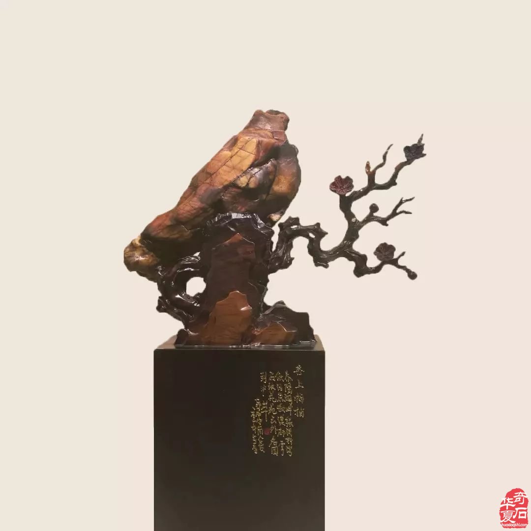 玩石表面看是在花钱，其实很赚钱！