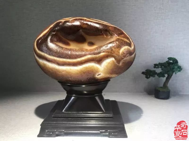 建议玩石者：永远不要和这四种人争辩