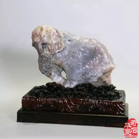 建议玩石者：永远不要和这四种人争辩