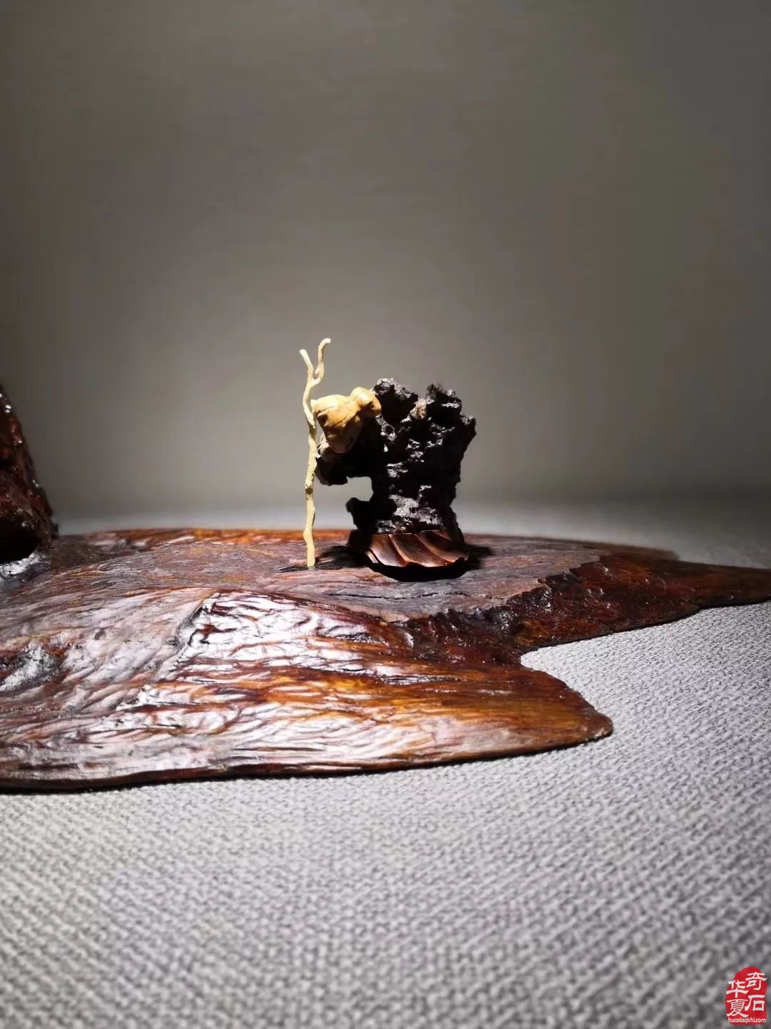 建议玩石者：永远不要和这四种人争辩