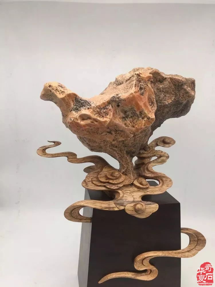 建议玩石者：永远不要和这四种人争辩